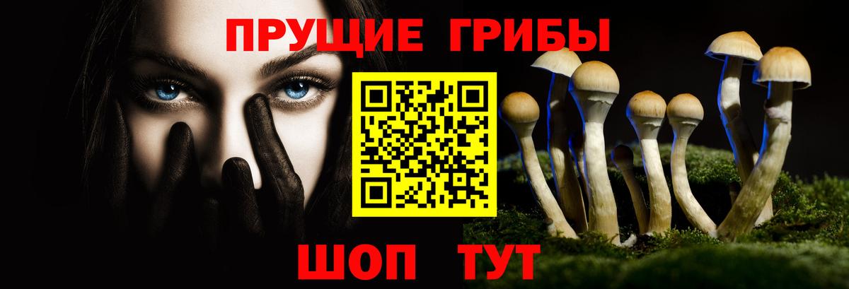 Ливны  Псилоцибиновые грибы ЛСД  Вход с VPN 