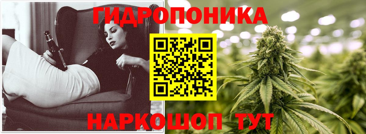 Конопля конопля Ливны